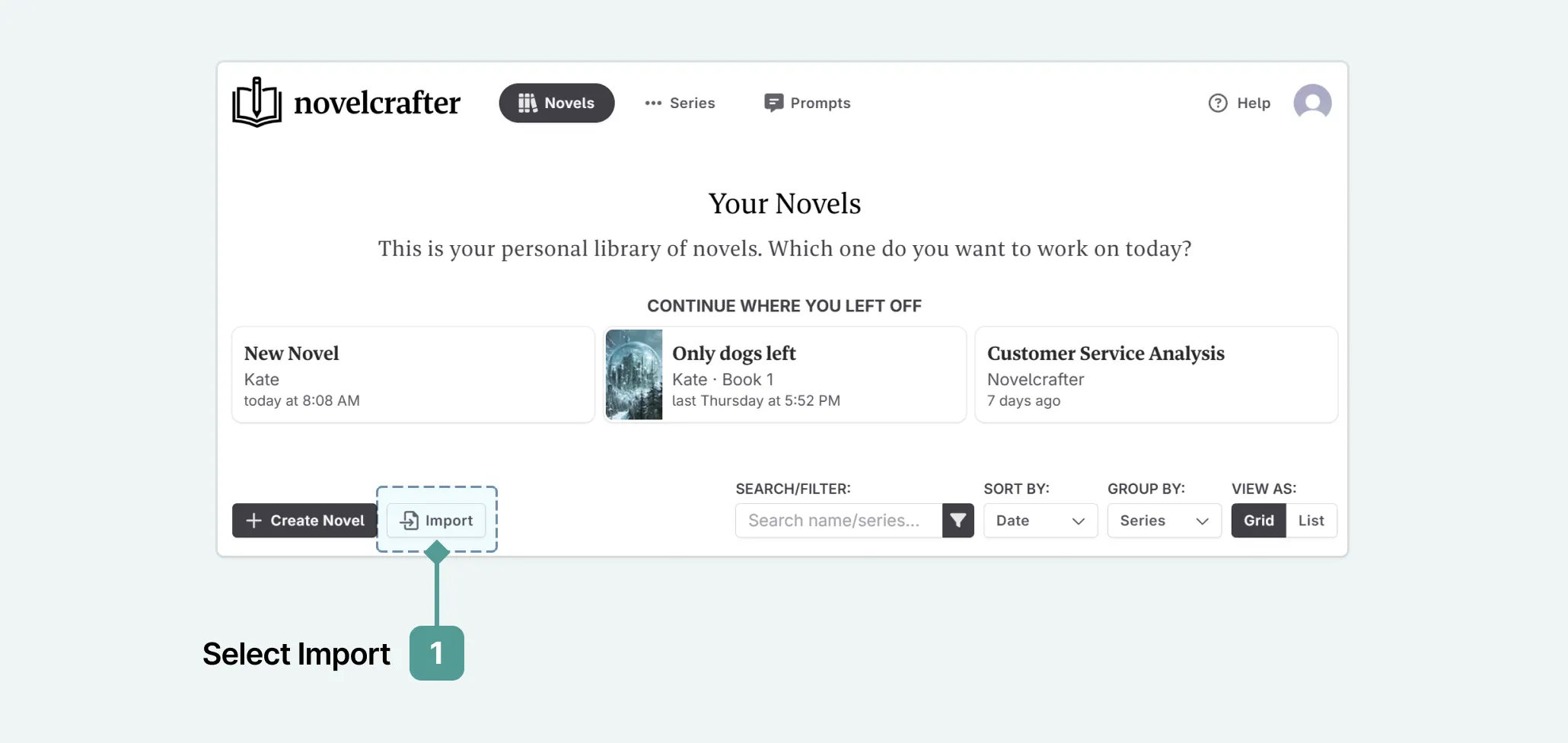 Instructions for how to Import your Novel