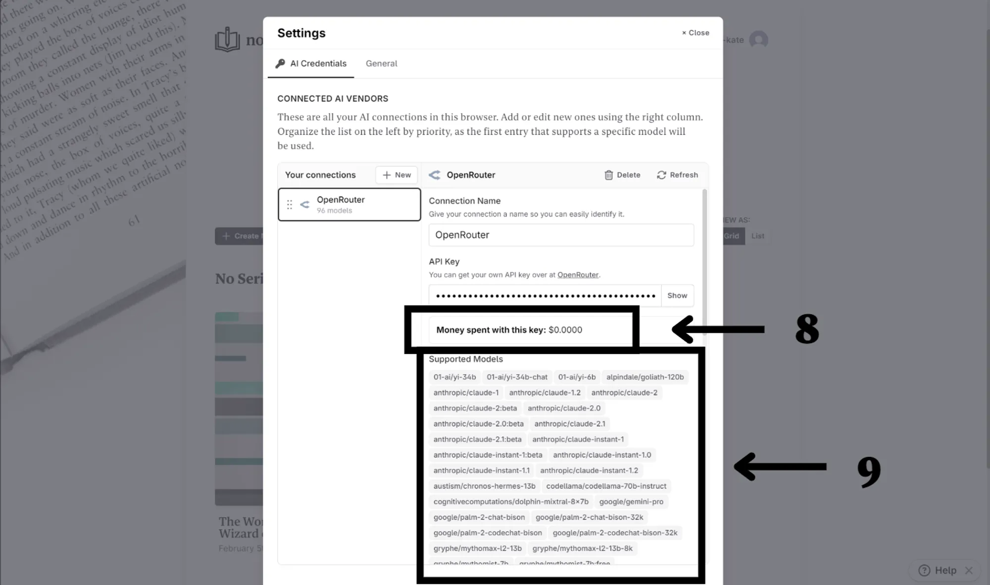 OpenRouter connection details