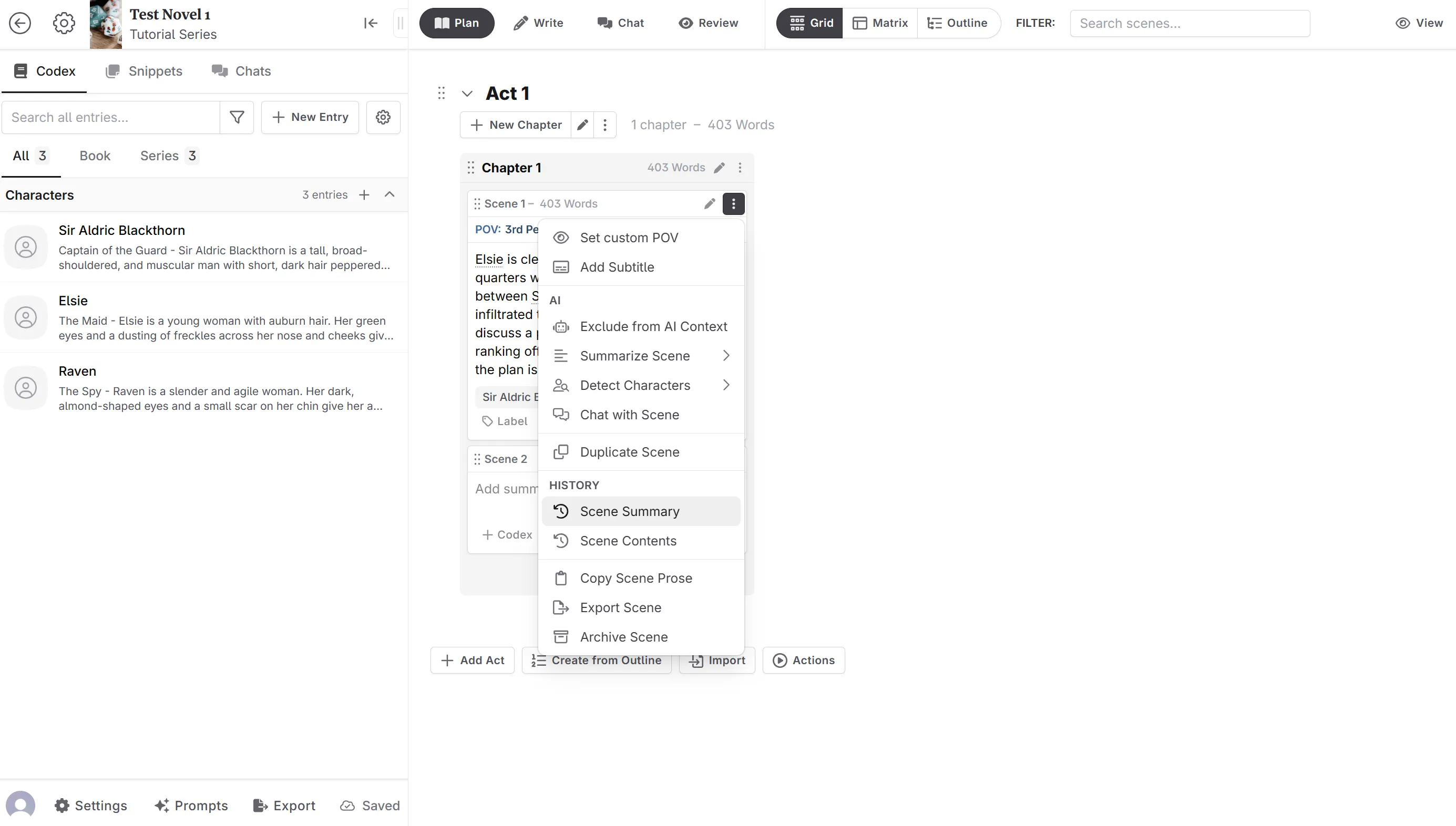 Scene summary versioning